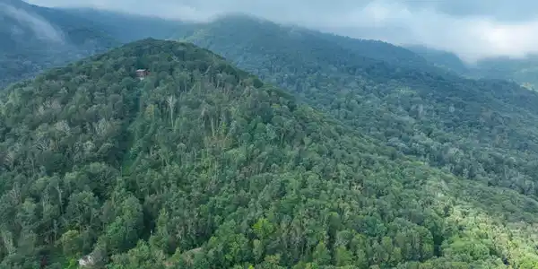 Image 4: Roanwood Rd Drone MOTTERN-4
