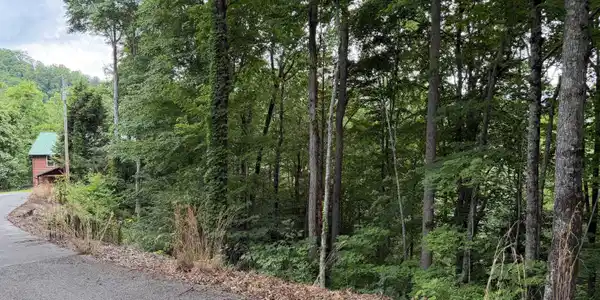 Tbd High Top Loop