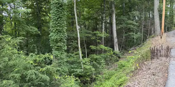 Image 4: IMG_8373