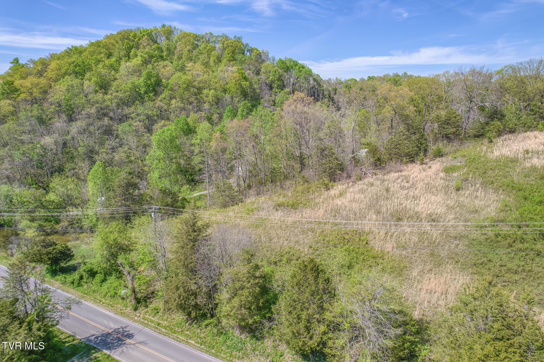 Image 2: TBD Shanks Gap Rd-2