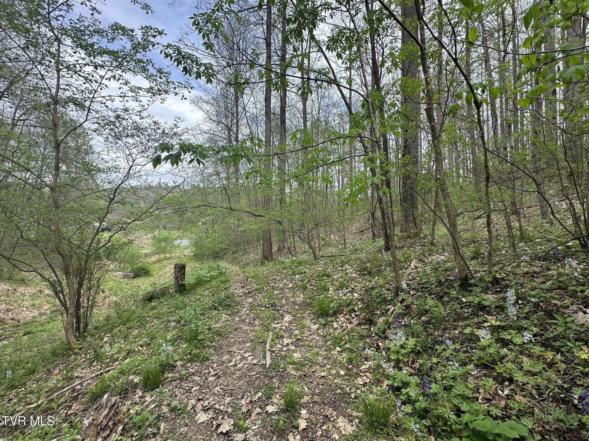 Image 3: IMG_4806