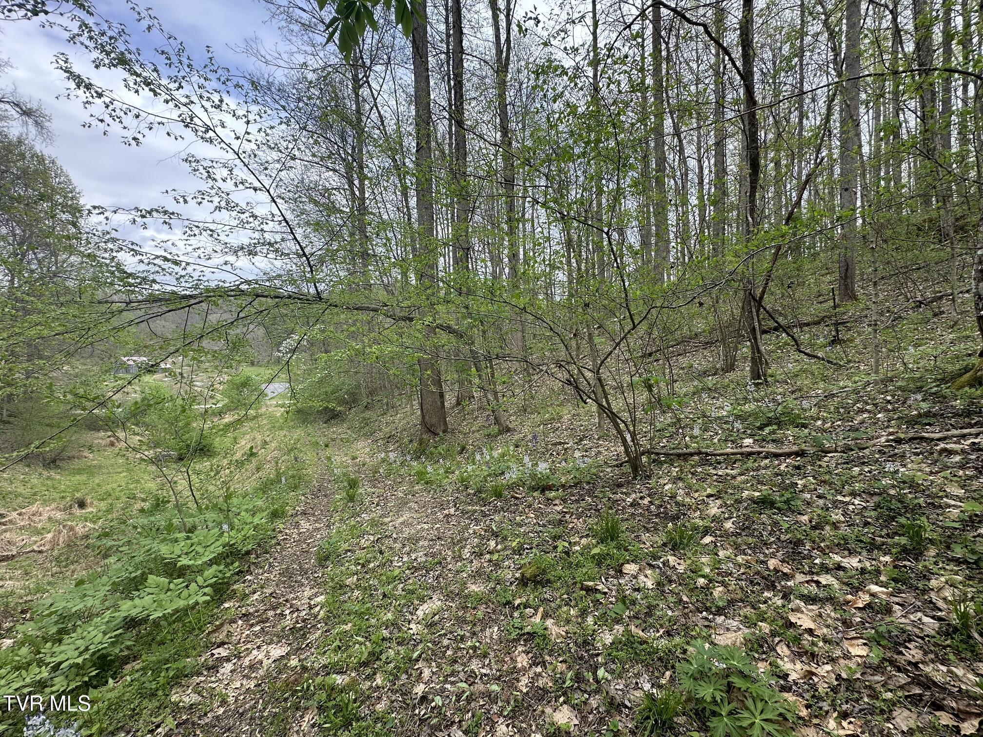Image 4: IMG_4807