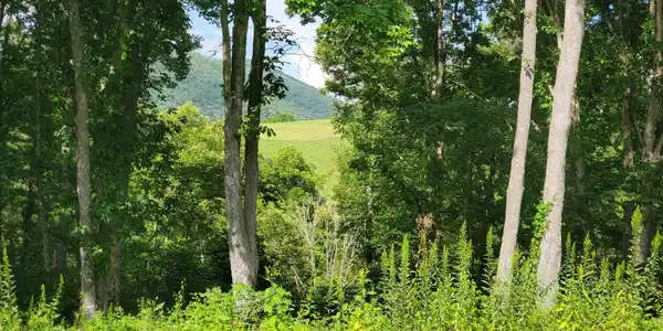W Of Dry Hill Road