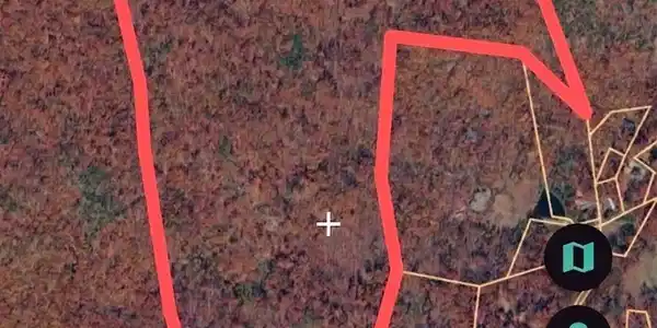 Image 2: 1783648464681