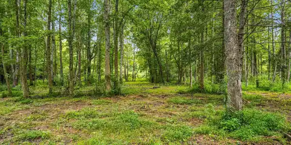 Tbd Mcinturff Springs Road