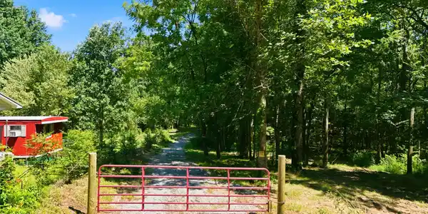 Image 2: 20_dji_20260730150519_0474_d