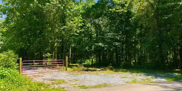 Image 3: 19_dji_20260730150510_0473_d
