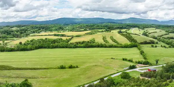 Image 2: DJI_20260525022308_0781_D