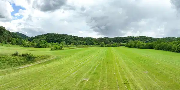 Image 4: DJI_20260525022842_0801_D