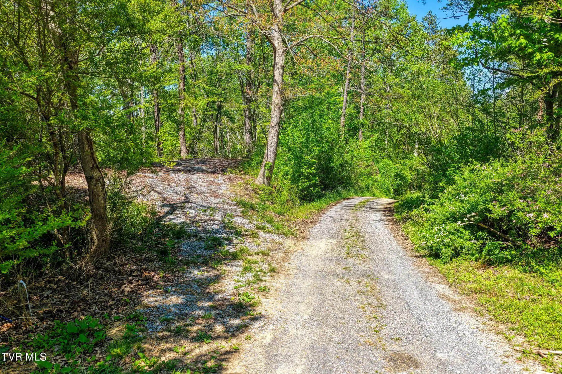 Image 1: Golf Course Rd. Rog MLSa (1 of 36)