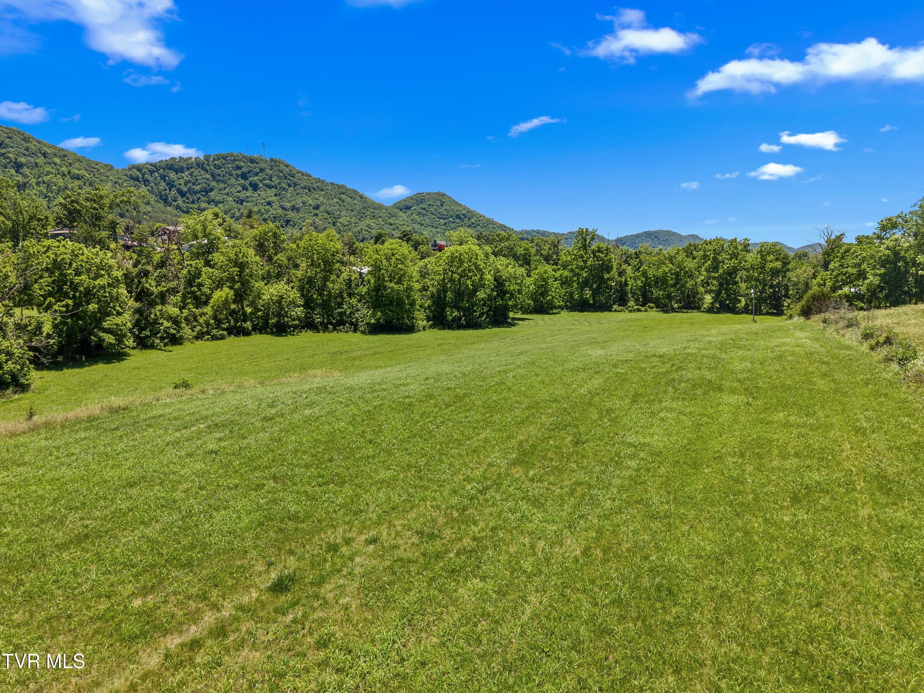 Image 3: 008-OldMillRoad-Rogersville-TN-SMALL