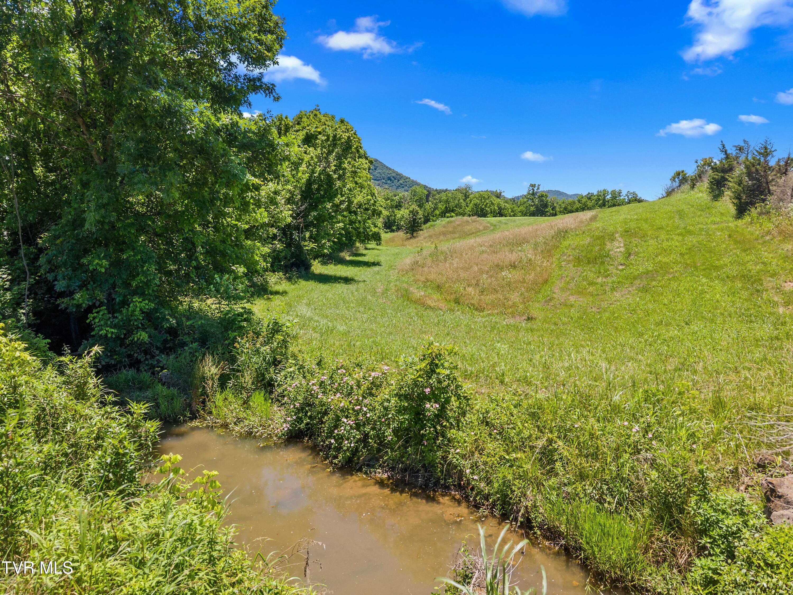 Image 4: 009-OldMillRoad-Rogersville-TN-SMALL