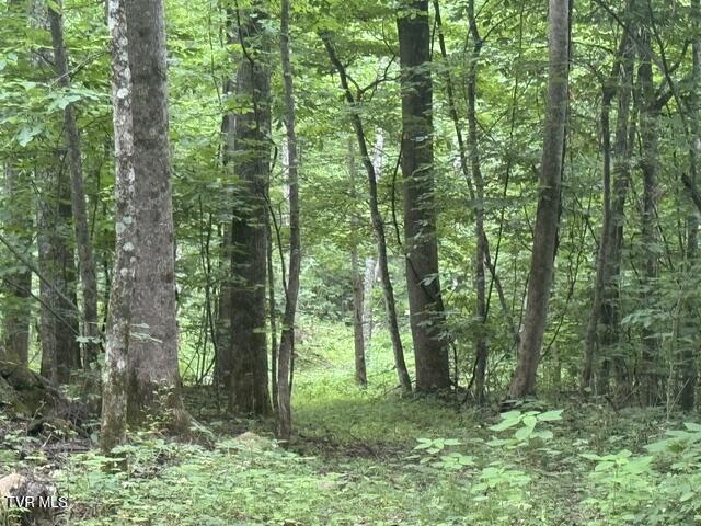 Image 1: IMG_2812