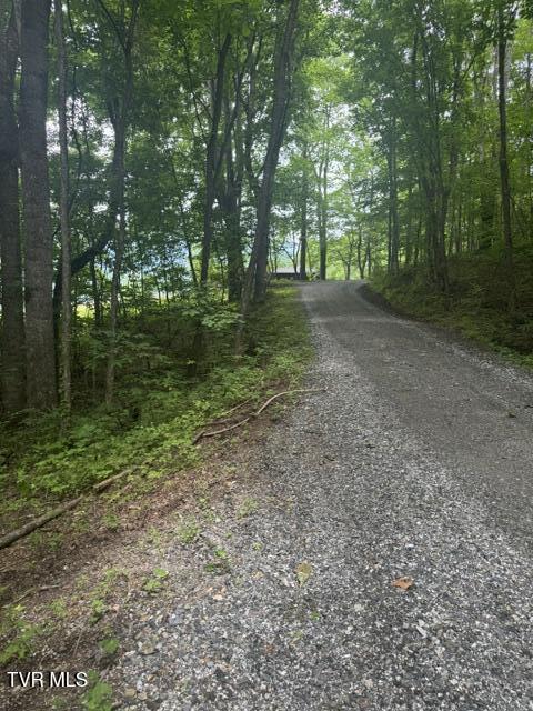 Image 2: IMG_2815