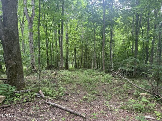 Image 3: IMG_2811