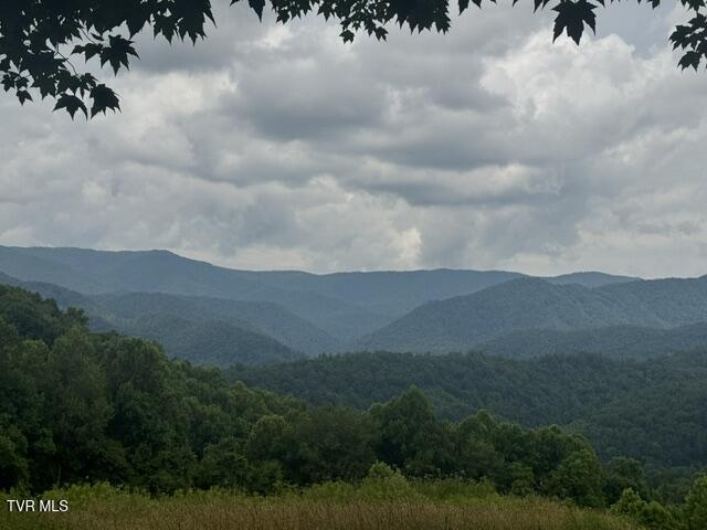 Image 4: IMG_2813