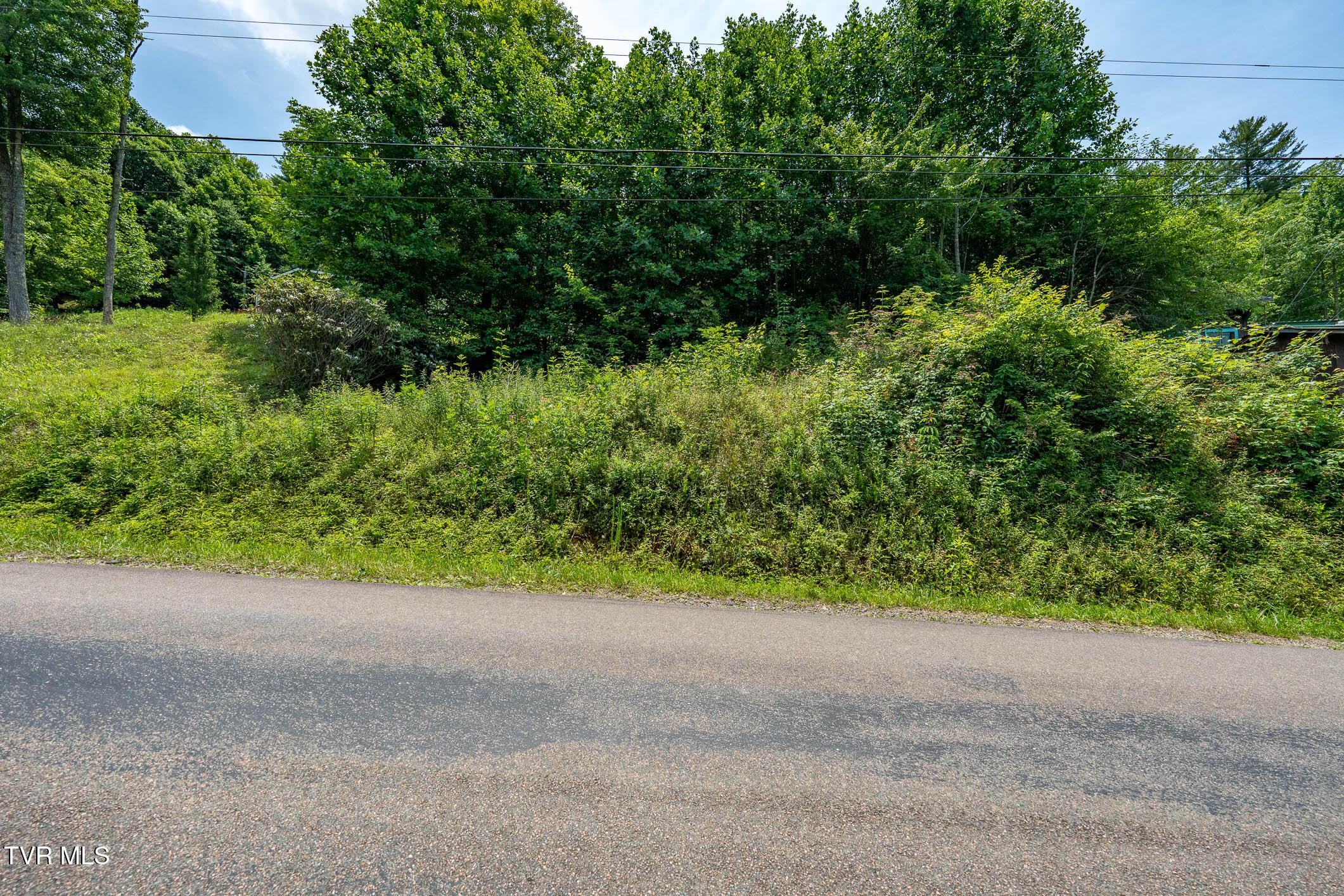 Image 1: TBD Sink Valley RD (21 of 22)