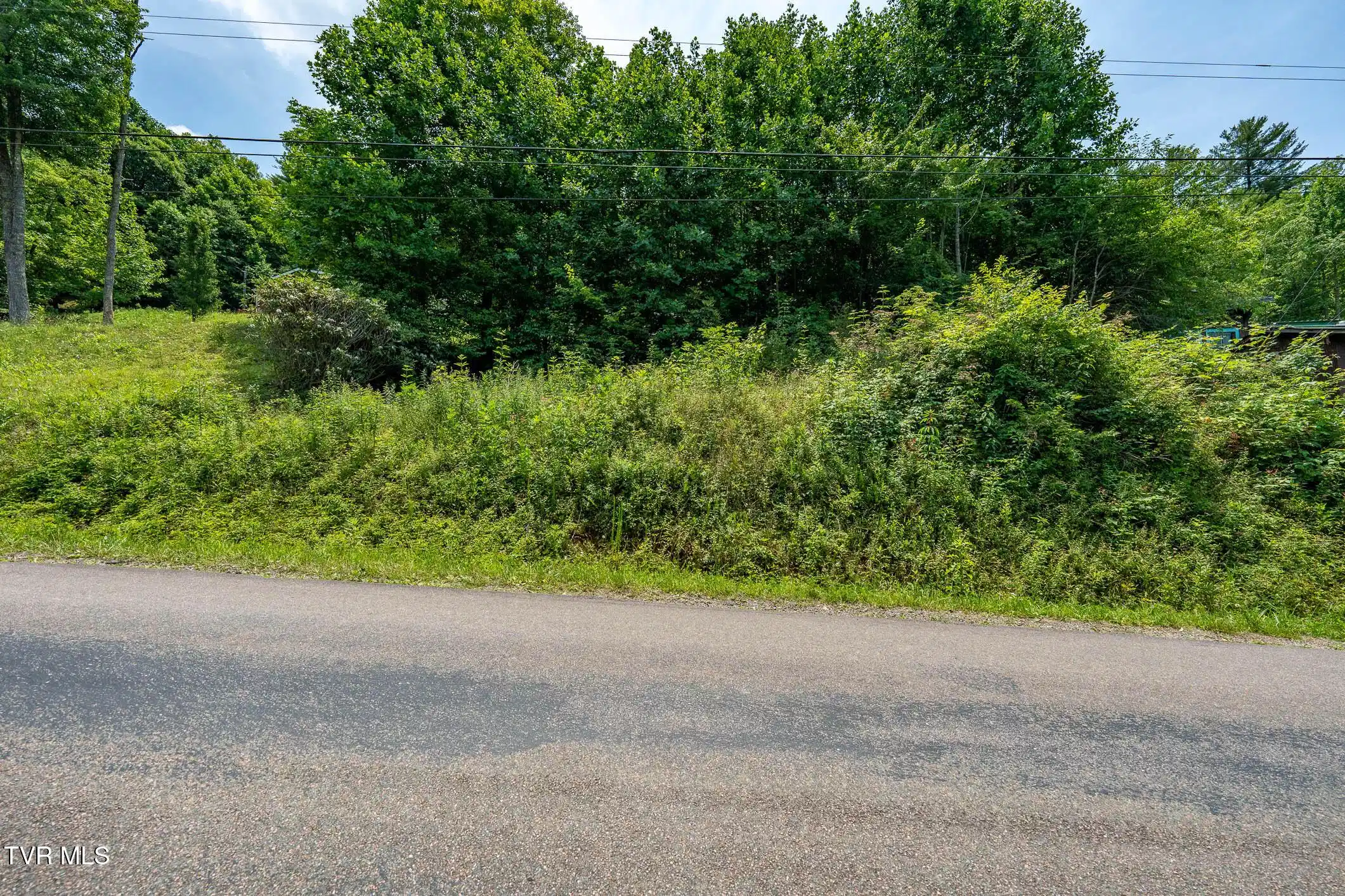 Image 1: TBD Sink Valley RD (21 of 22)