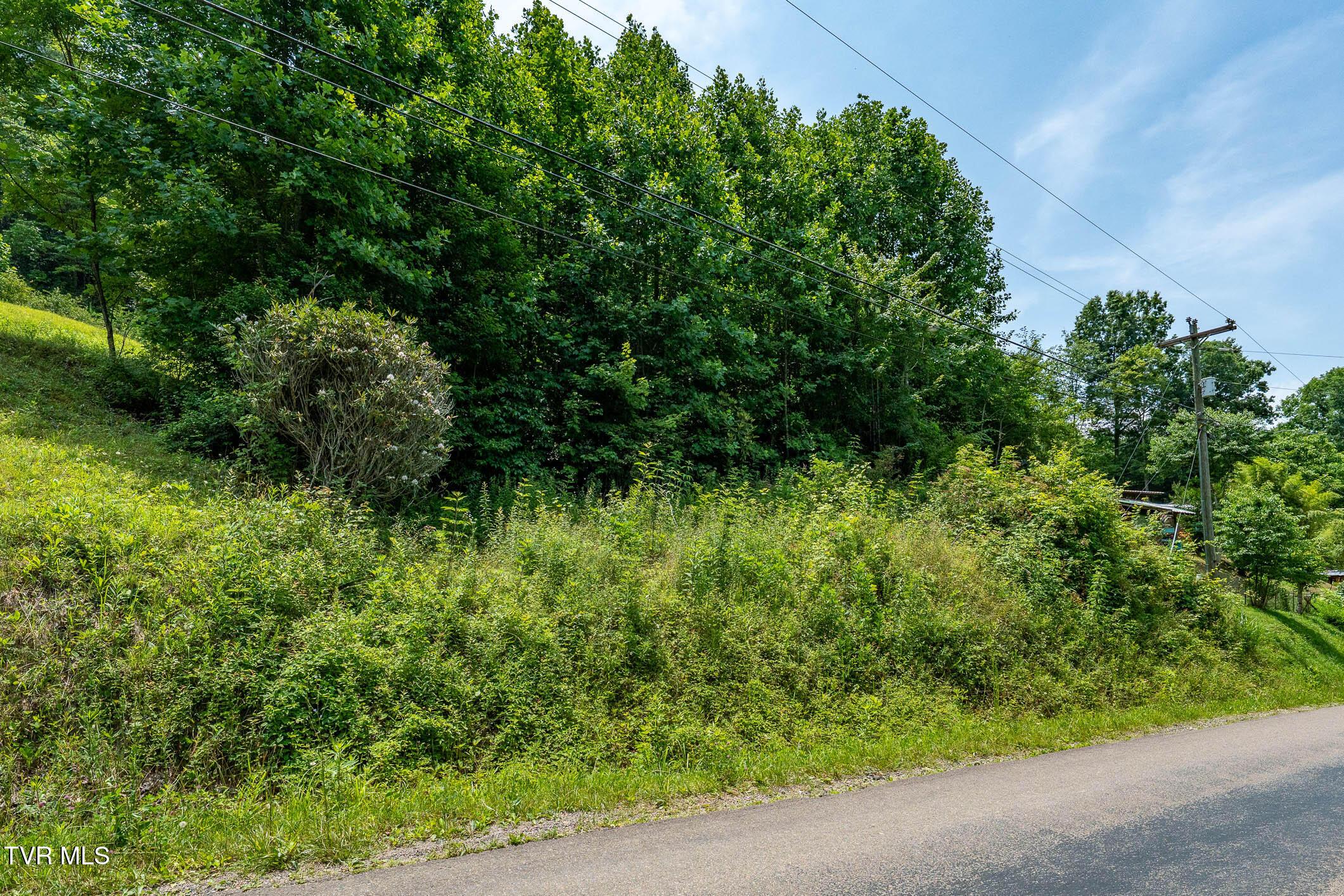 Image 2: TBD Sink Valley RD (22 of 22)