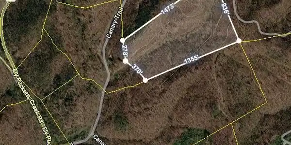Image 2: Canary Trail