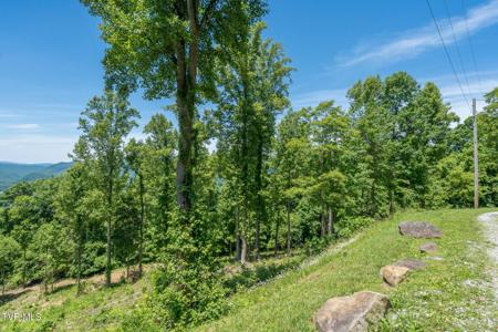4 Ridgetop Lane