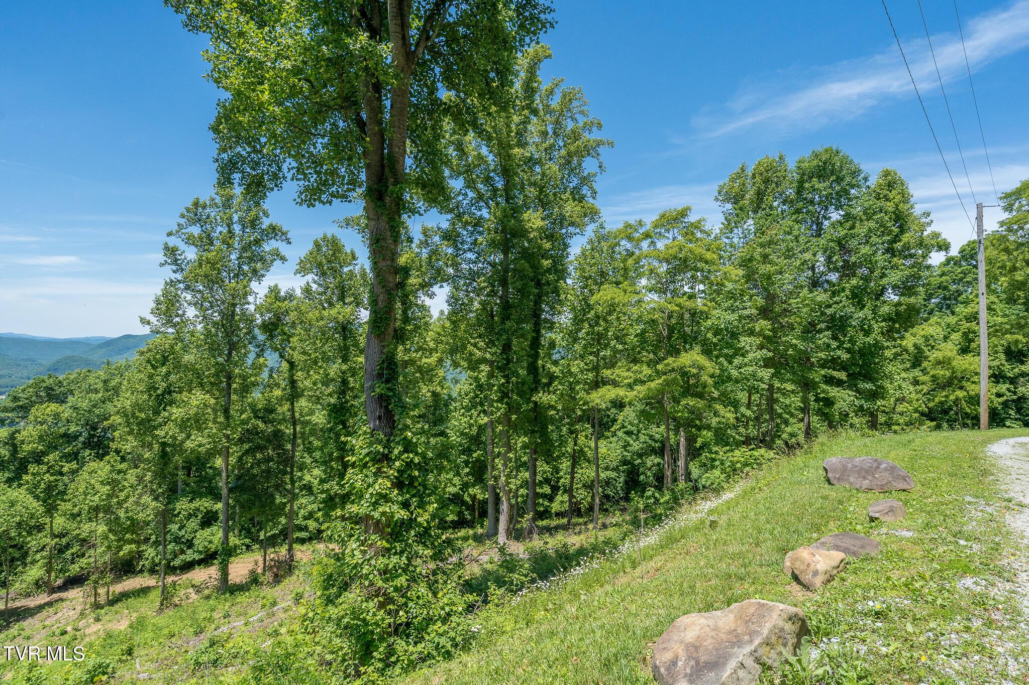 Image 1: Lot 4 Ridgetop Ln (33 of 34)