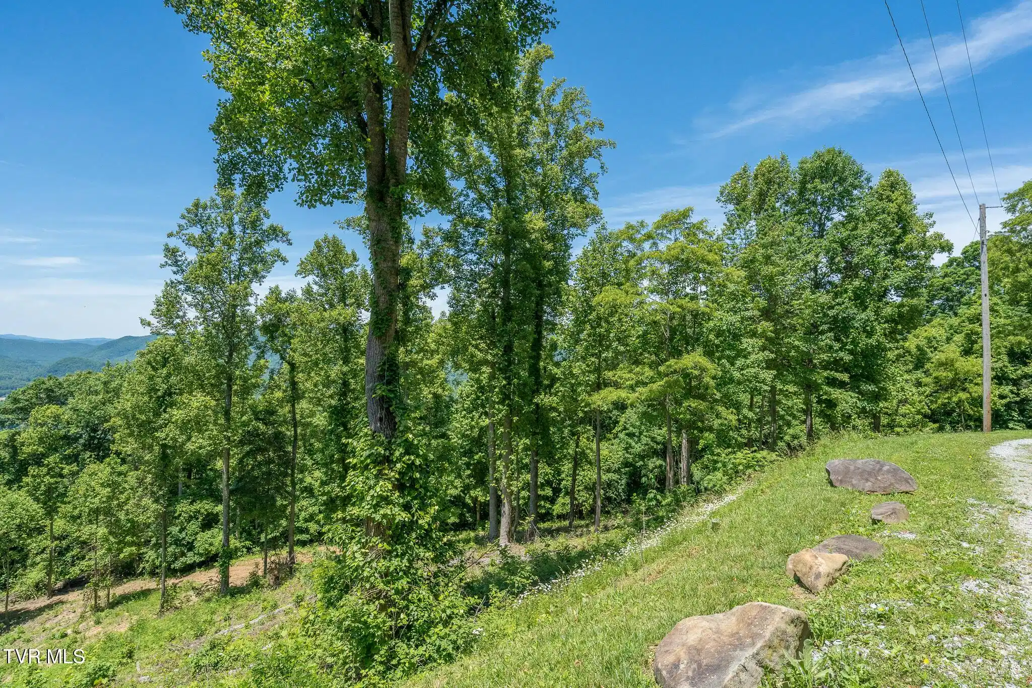 Image 1: Lot 4 Ridgetop Ln (33 of 34)