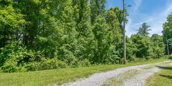 Image 3: Lot 4 Ridgetop Ln (28 of 34)