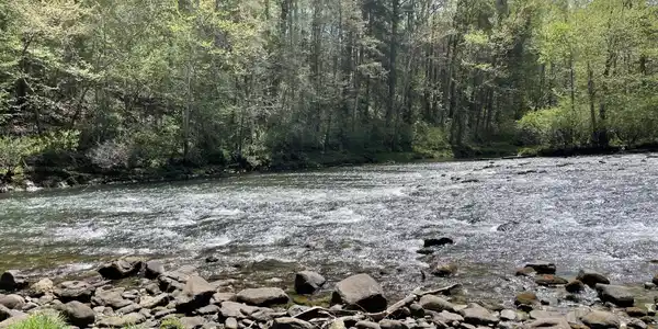 Image 2: Photo 3 rapids