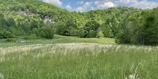 Image 4: Photo 4 cliffs