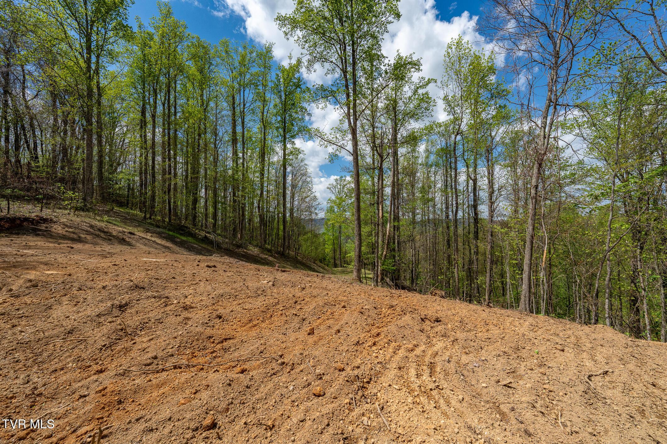 Image 2: TBD Sunset Ridge (18 of 38)