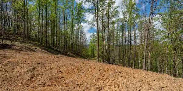 Image 2: TBD Sunset Ridge (18 of 38)