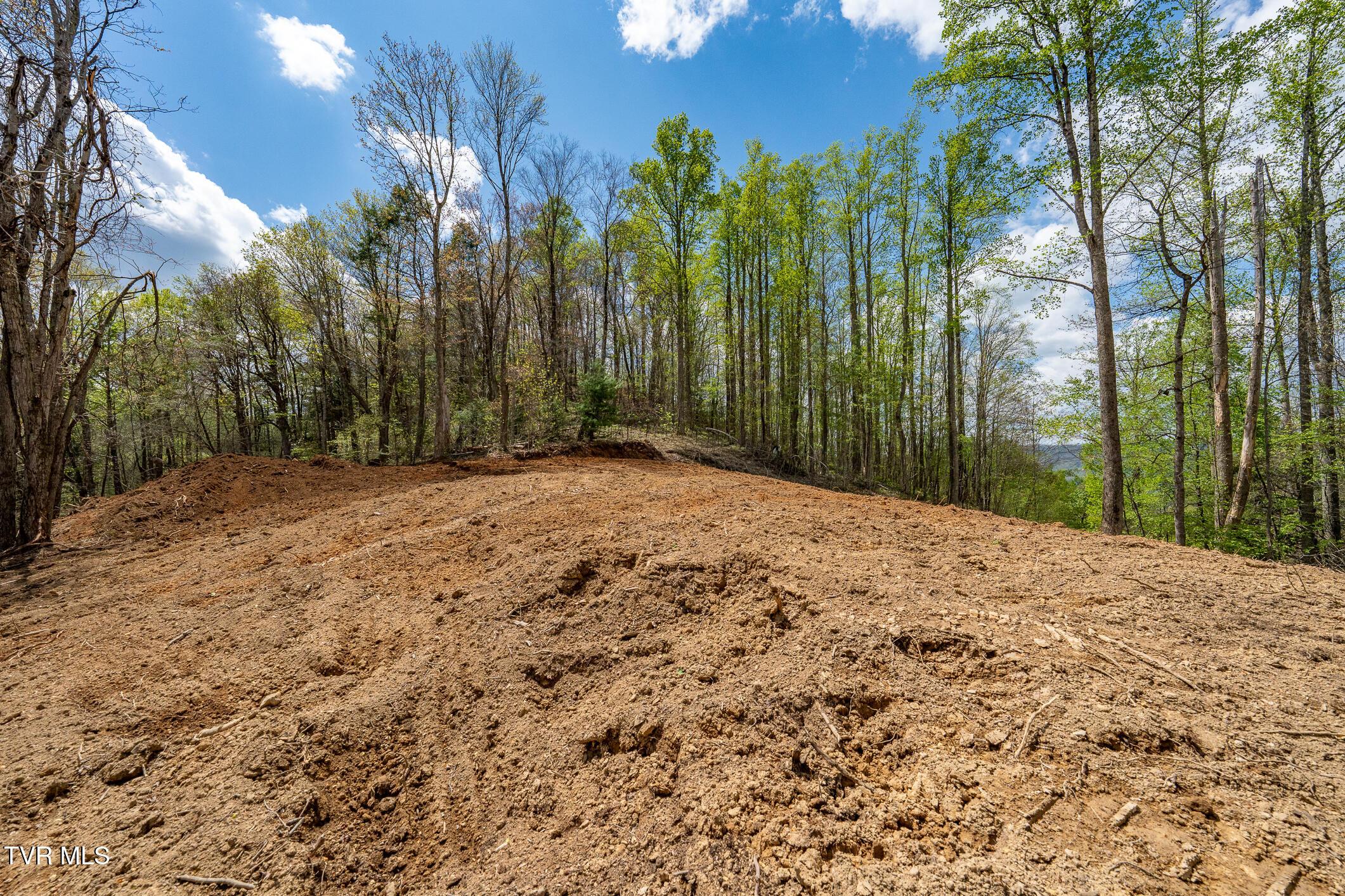 Image 3: TBD Sunset Ridge (20 of 38)