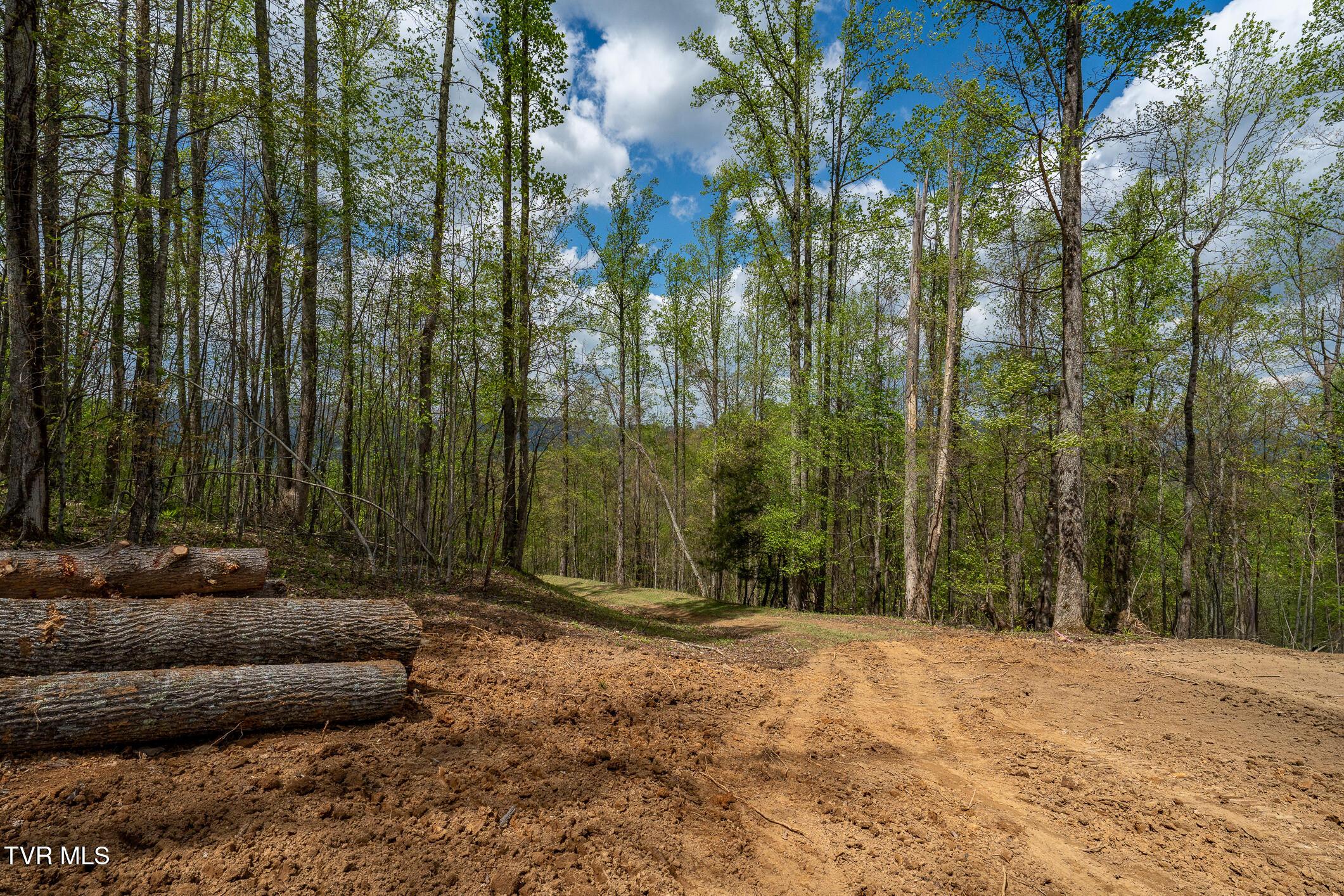 Image 4: TBD Sunset Ridge (25 of 38)