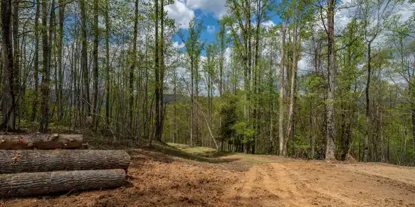 Image 4: TBD Sunset Ridge (25 of 38)