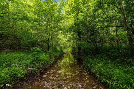 Tbd Rocky Hollow Road