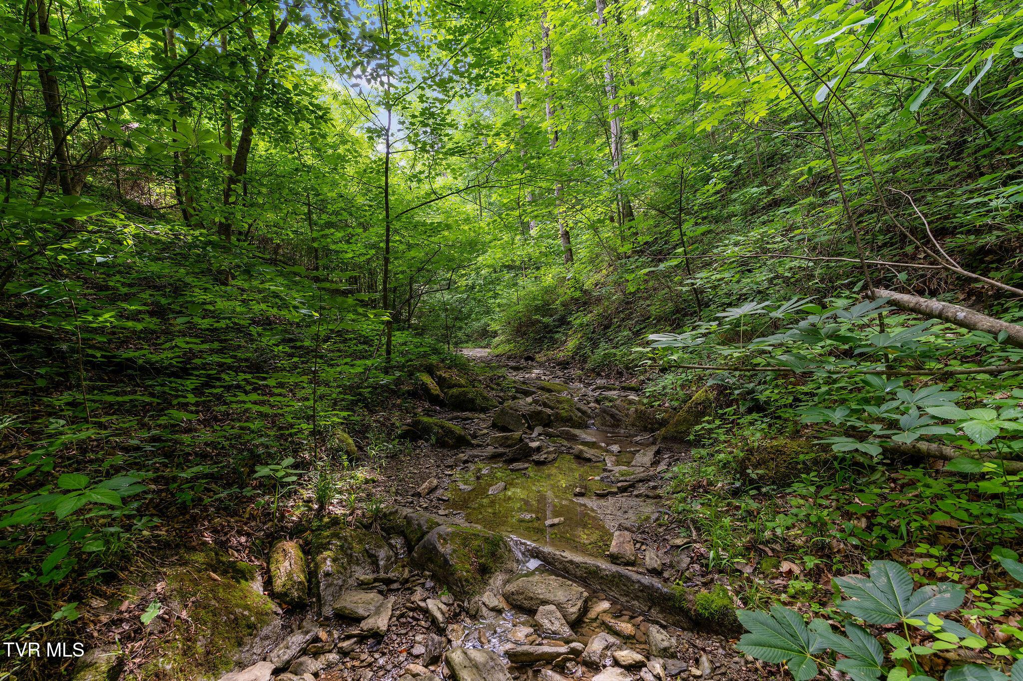 Image 4: DSC03192