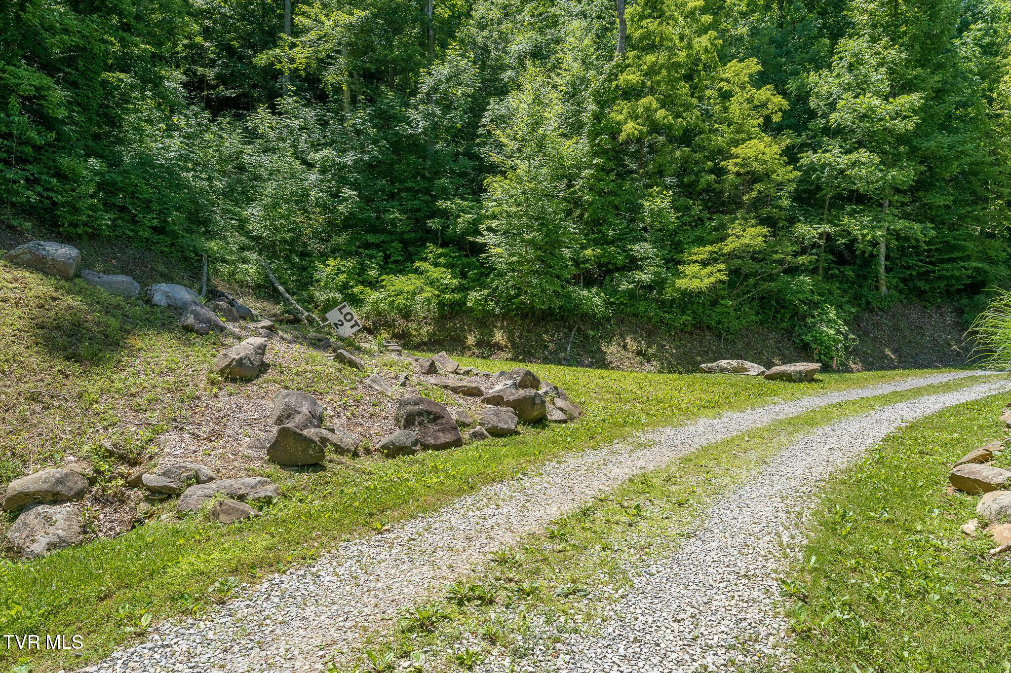 Image 2: Lot 2 Ridgetop Ln (37 of 47)