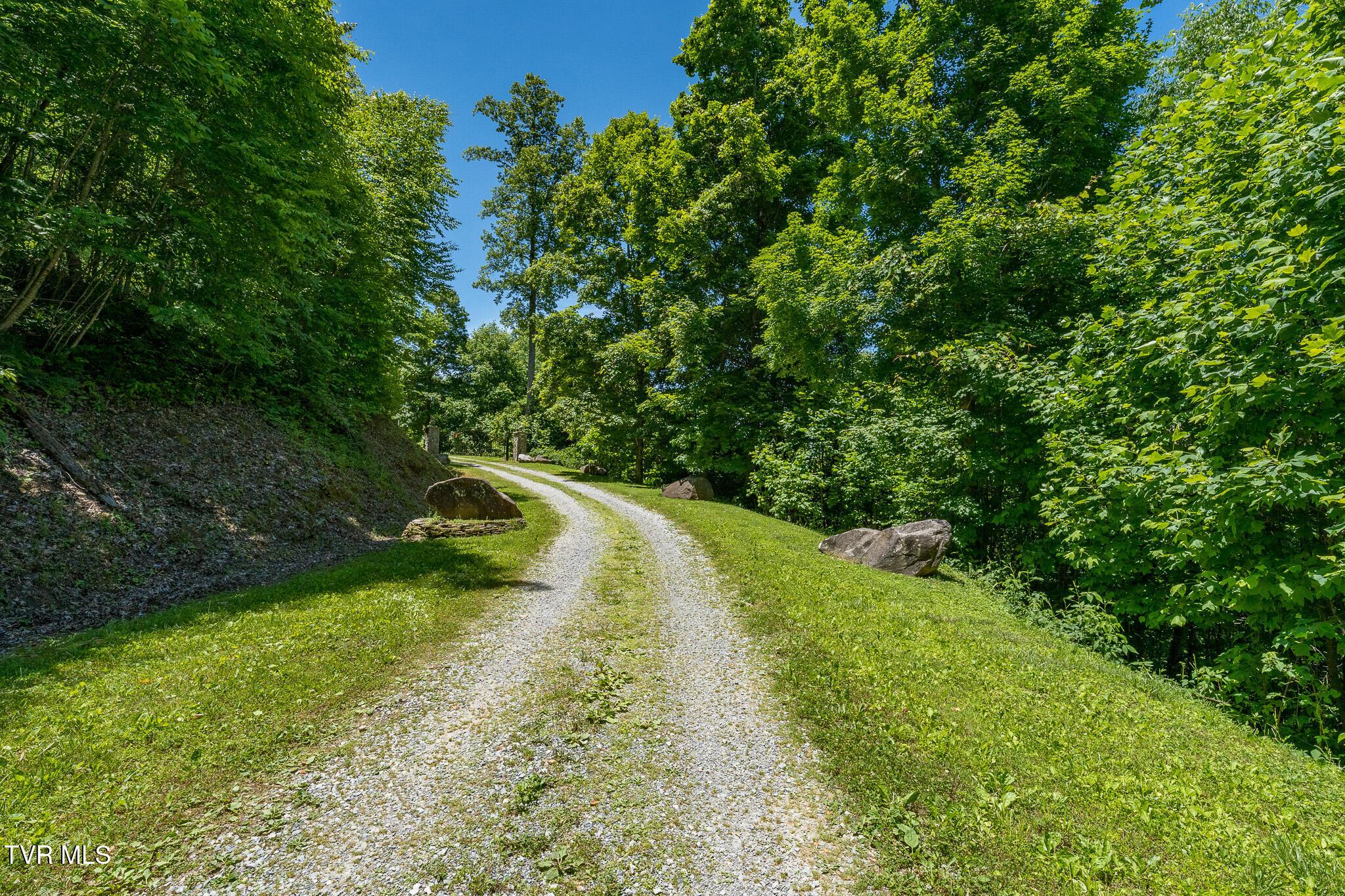 Image 3: Ridgetop Ln (46 of 47)
