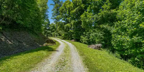 Image 3: Ridgetop Ln (46 of 47)