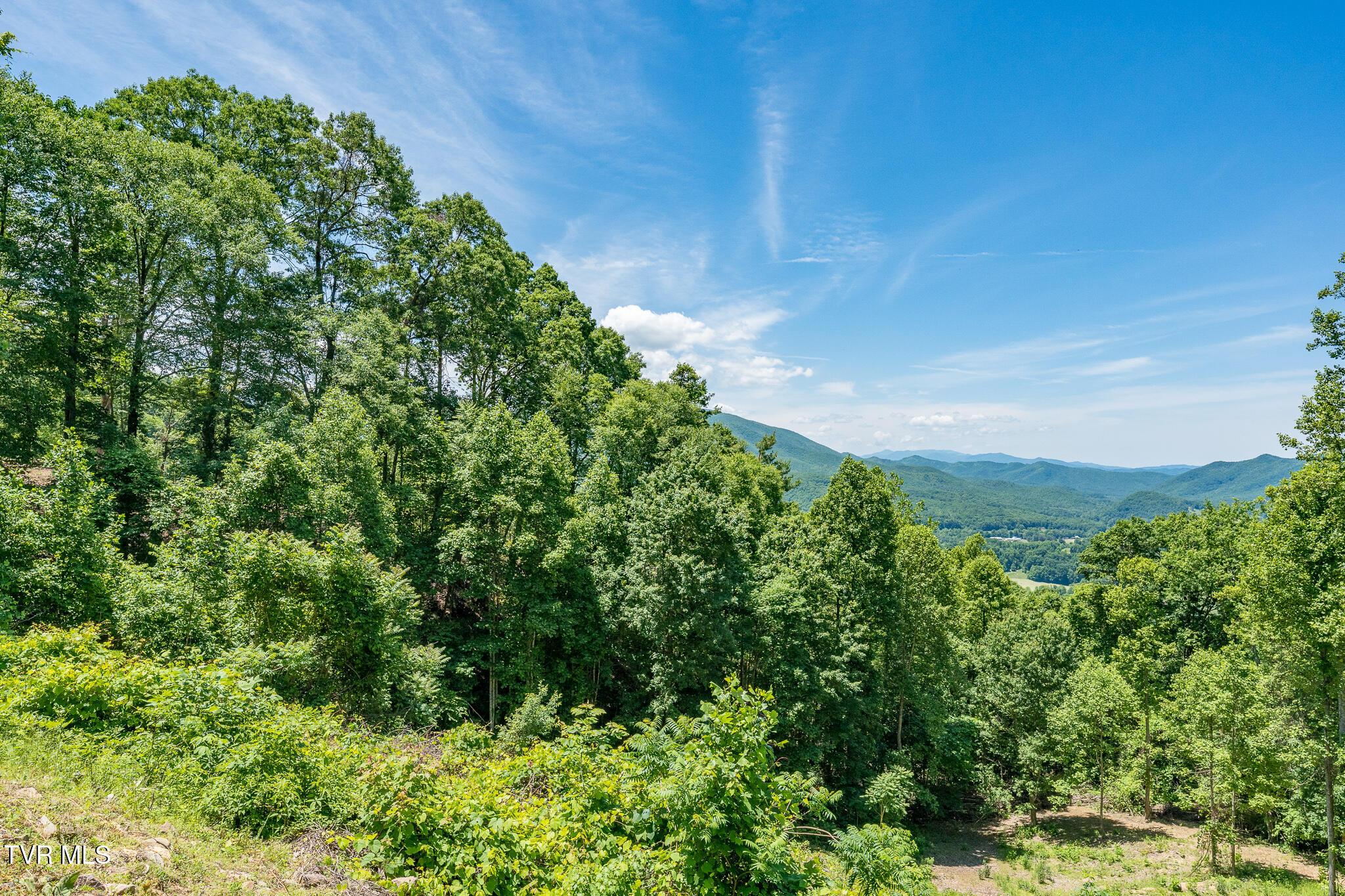 Image 4: Lot 2 Ridgetop Ln (40 of 47)