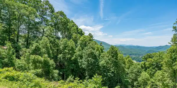 Image 4: Lot 2 Ridgetop Ln (40 of 47)