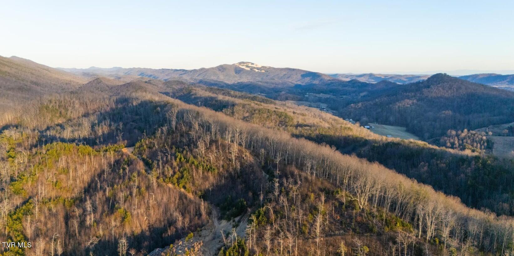 Image 2: 41.31 acre pic 1
