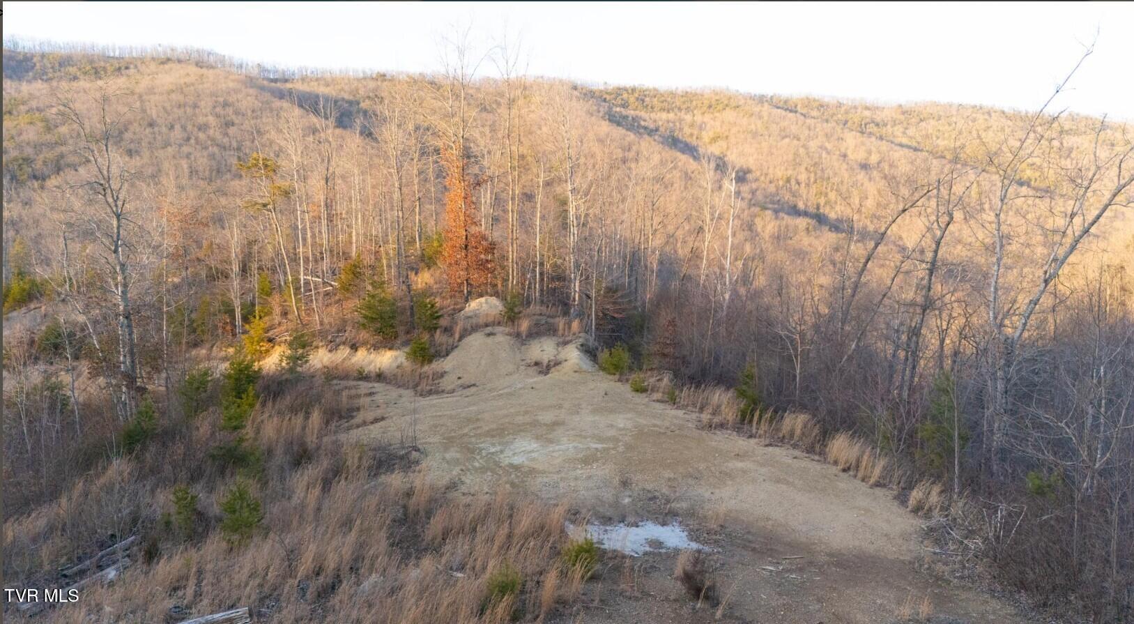Image 3: 41.31 acre pic 2