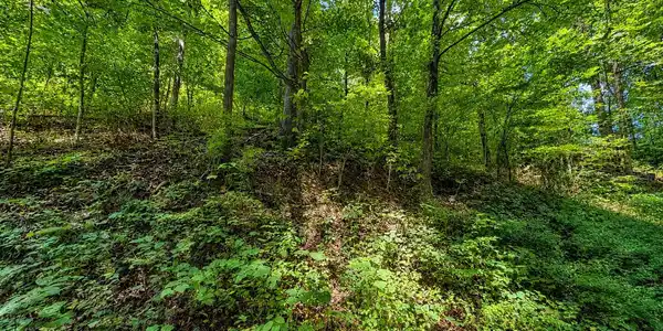 Image 4: 169682AF-CE65-4D55-A3D8-21BF2D7794B9