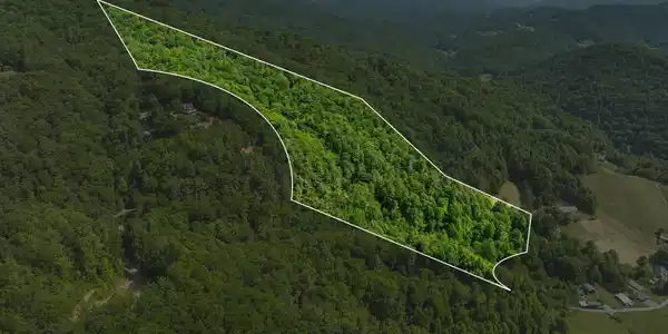 Image 2: Aerial plat(lines estmated)