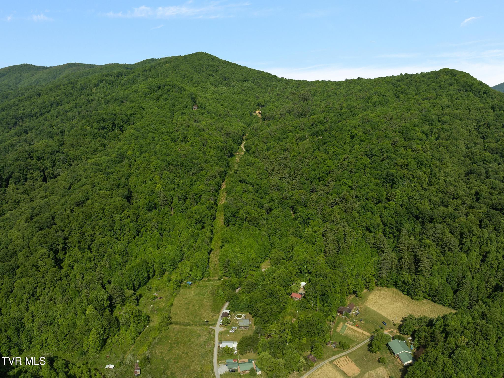 Image 3: 685 Tipton Branch Rd