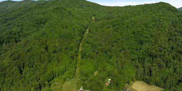 Image 3: 685 Tipton Branch Rd