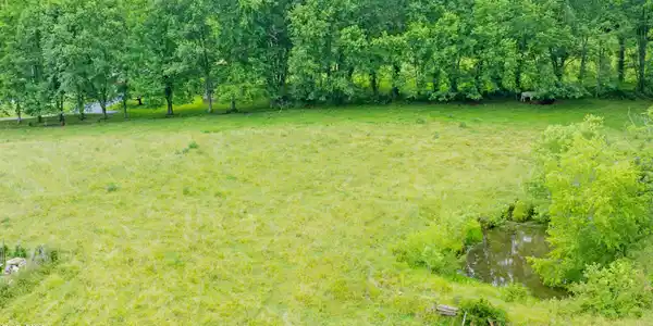 Image 3: dji_fly_20260527_102658_0785_17798922955