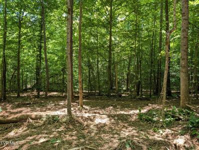 Lot 2 Butcher Valley Road